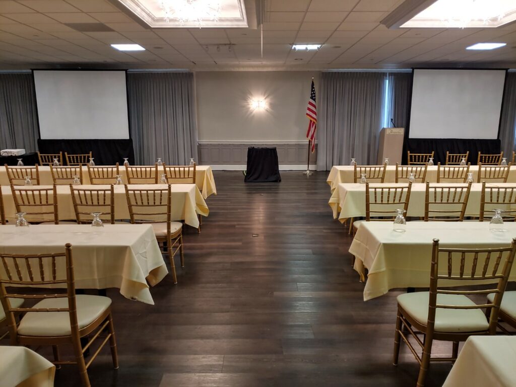 Video Projection and Display Monitors
